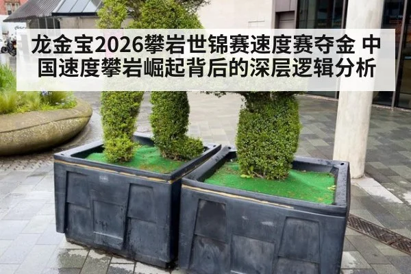 龙金宝2026攀岩世锦赛速度赛夺金 中国速度攀岩崛起背后的深层逻辑分析