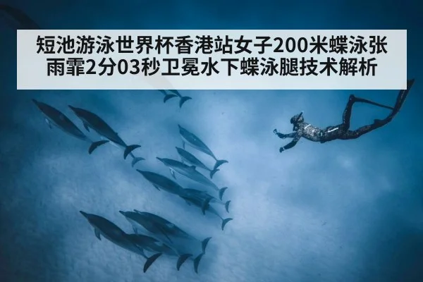 短池游泳世界杯香港站女子200米蝶泳张雨霏2分03秒卫冕水下蝶泳腿技术解析